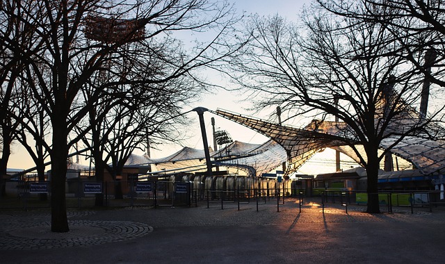 田径队赢得 田径队赢得