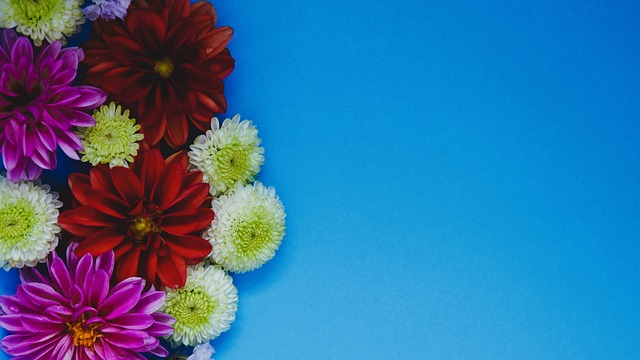 显得尤为重 显得尤为重