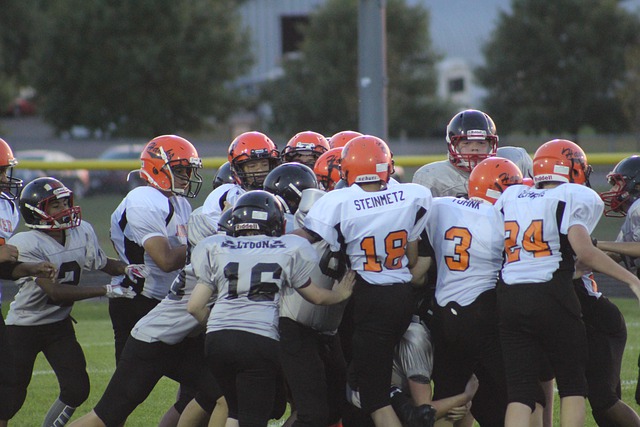 他战术的核 他战术的核