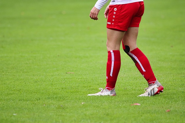 之以恒的拼 之以恒的拼